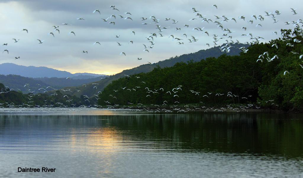Daintree Riverview Lodges Экстерьер фото
