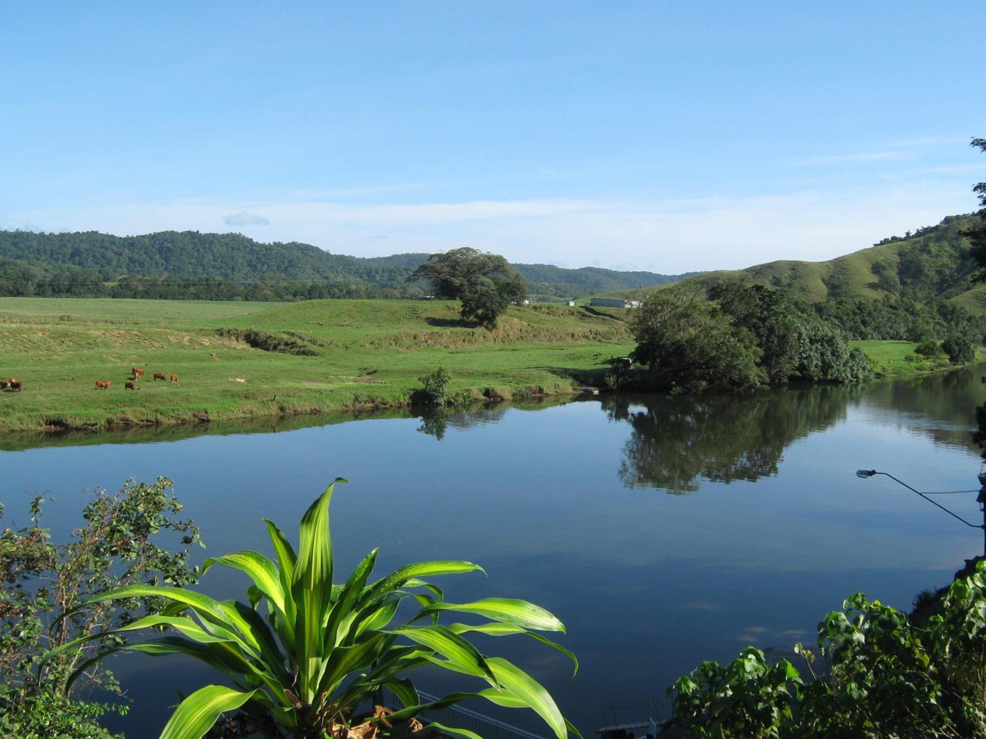 Daintree Riverview Lodges Экстерьер фото