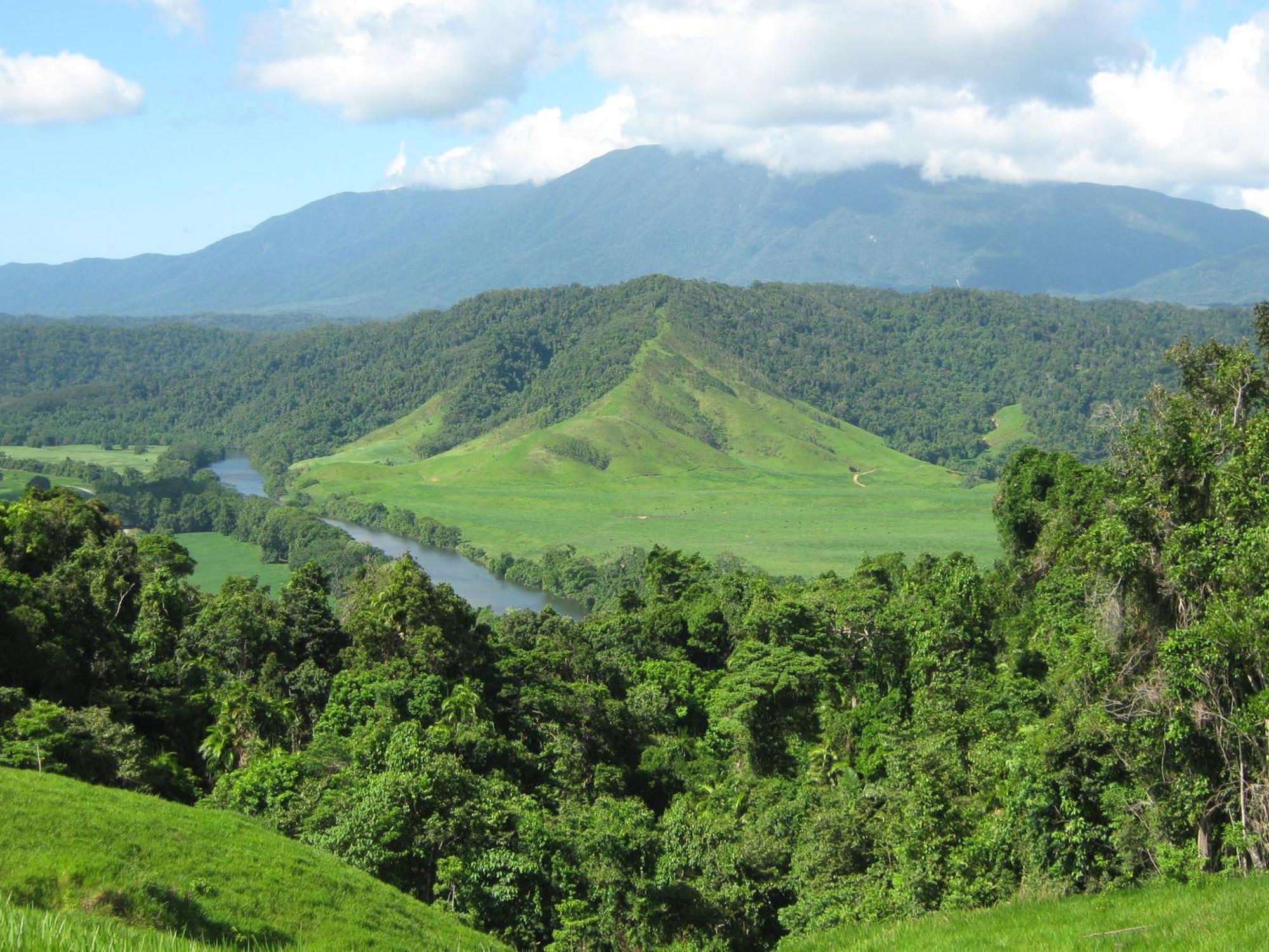 Daintree Riverview Lodges Экстерьер фото